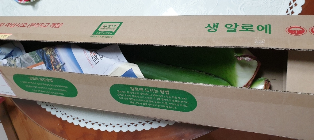 천년 알로에 생 알로에