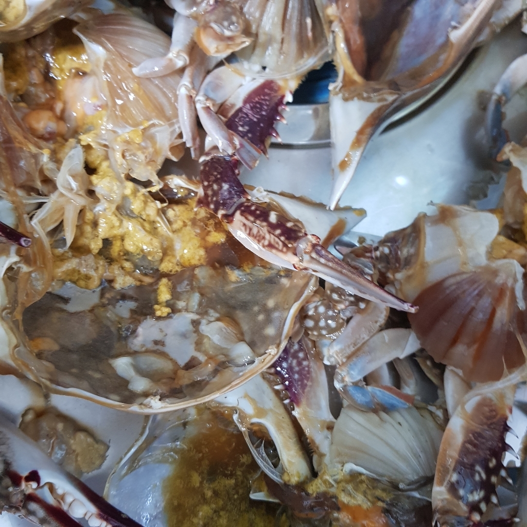 산지직송 활 냉동 알배기 암꽃게 리뷰후기
