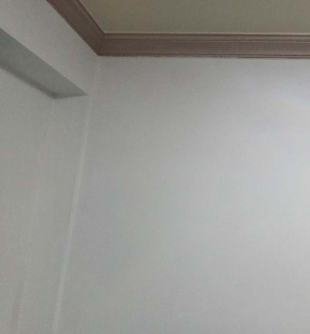 결로방지페인트 자연숨 규조토페인트 곰팡이방지 벽지 항균 베란다 실내 단열페인트 리뷰후기