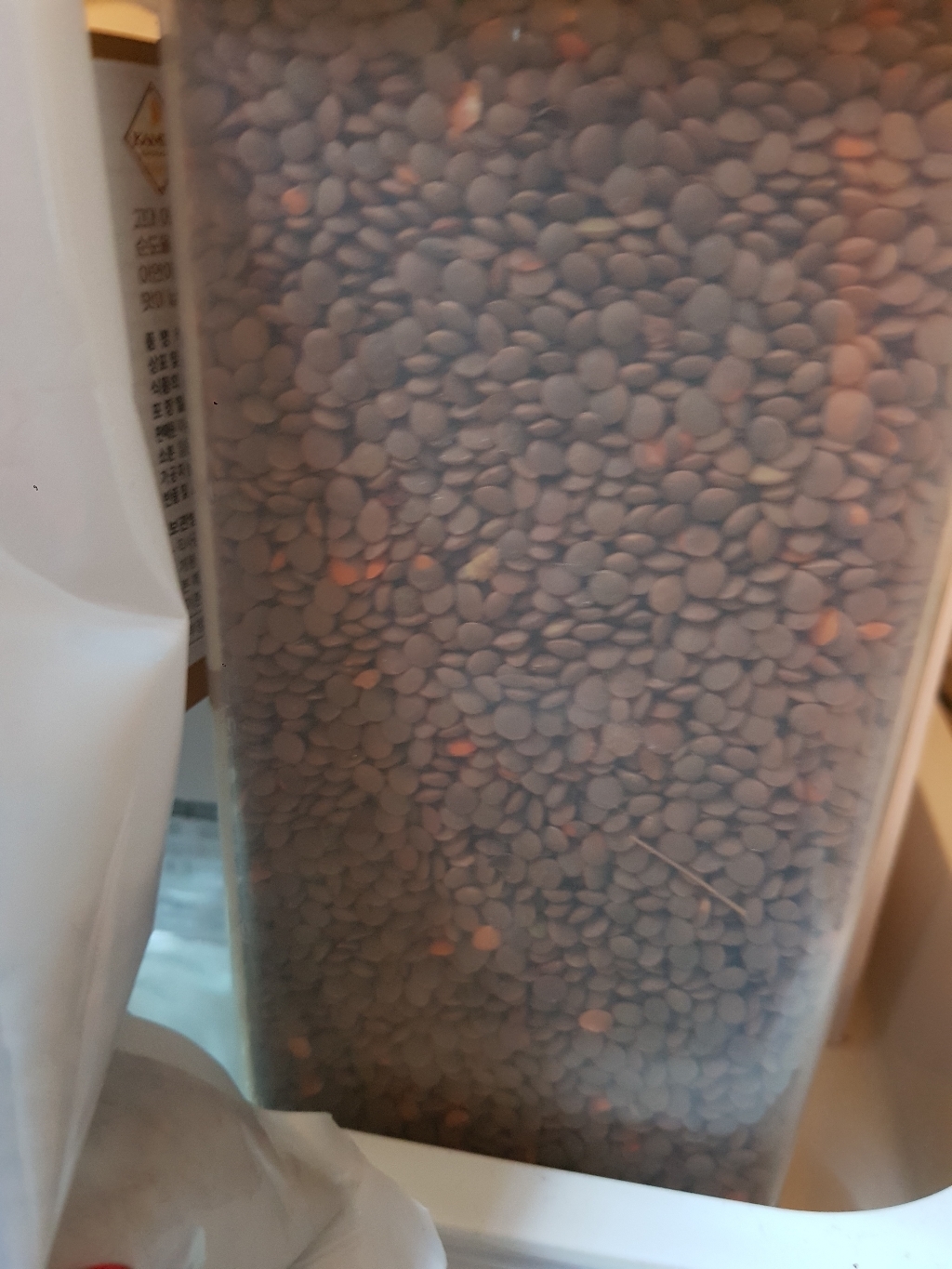 대한농산 렌틸콩 리뷰후기