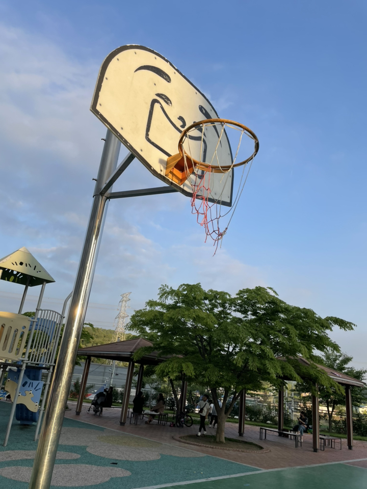 농구골대그물망 초등학교 중학교 체육관 공공장소 농구그물 농구그물망 그물망 농구대그물망 농구대 농구링망 농구대골네트