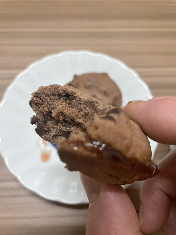 오리온 촉촉한 초코칩 리뷰 후기