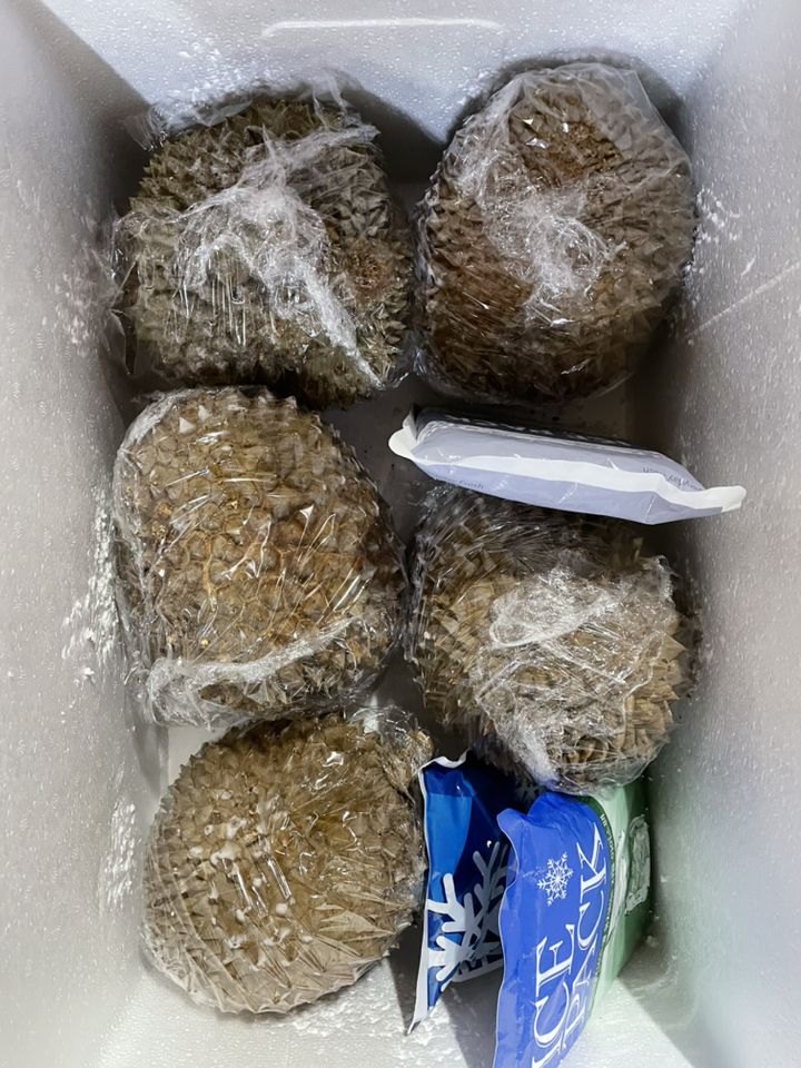 durian 두리안 달콤한 급속냉동 통두리안 리뷰후기
