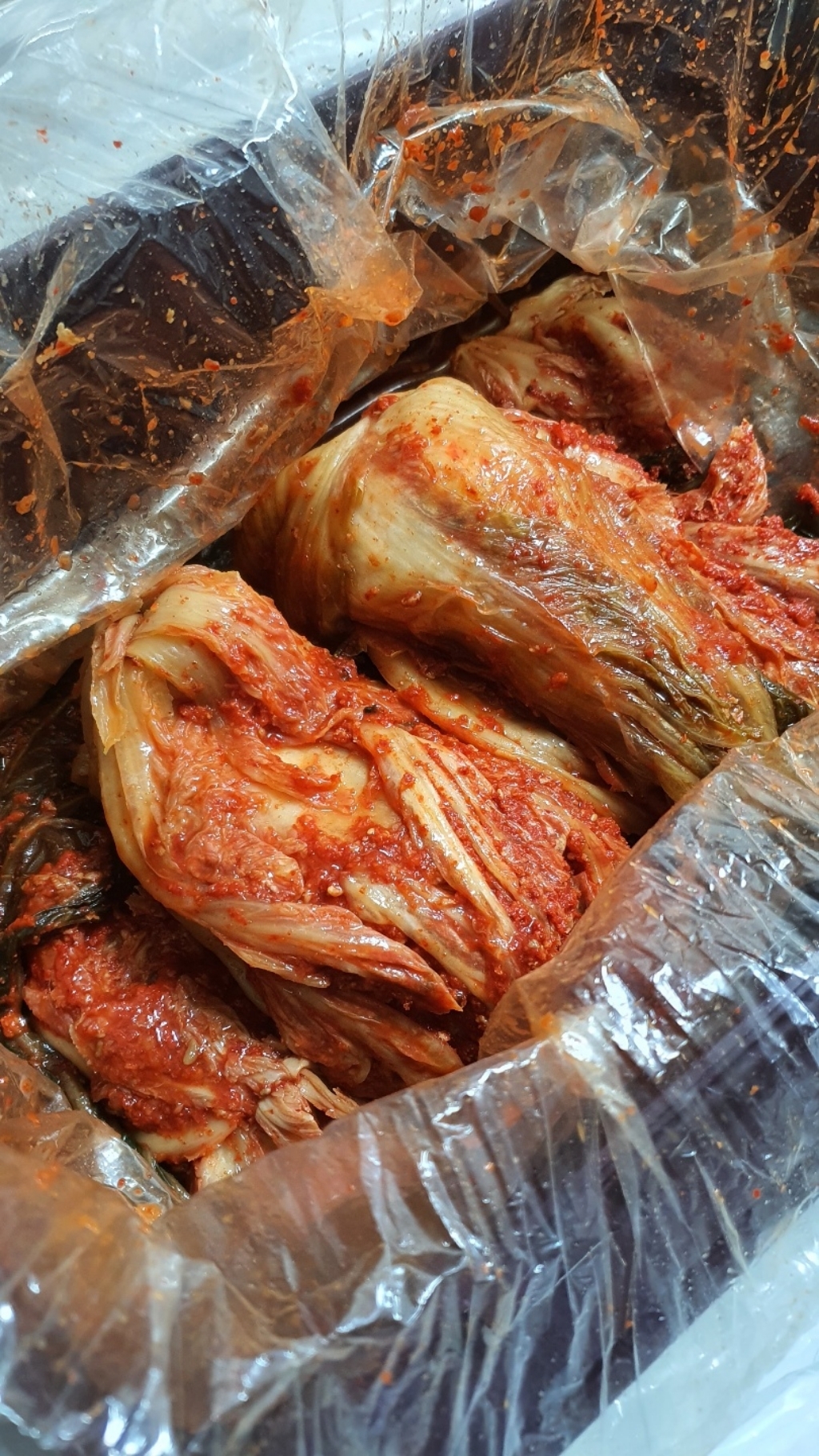 랜덤김치 배추김치