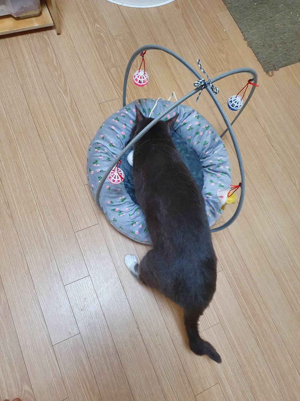 요기쏘 고양이 모빌 장난감 방석 하우스