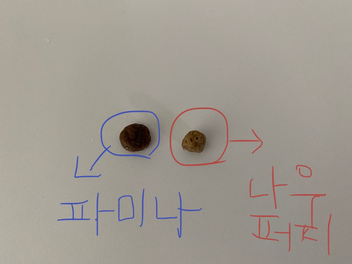나우프레쉬 퍼피 그레인프리 스몰브리드 건식사료
