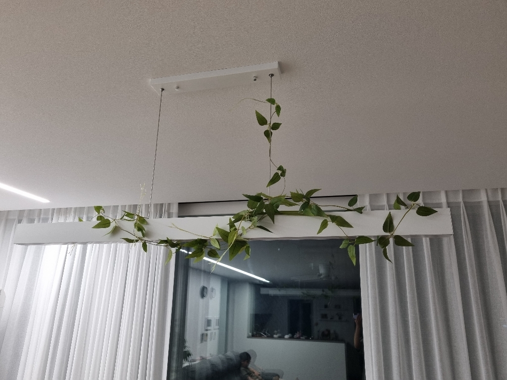아티파티 인테리어 조화 행잉플랜트 그리너리 소