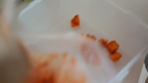 깍두기 김치 리뷰후기