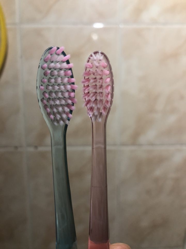 히말라야 핑크솔트 담은칫솔 약한잇몸용 입 리뷰후기