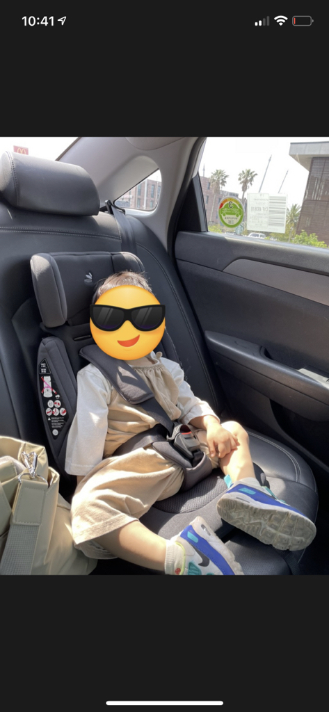 다이치 이지캐리 휴대용 카시트 일체형