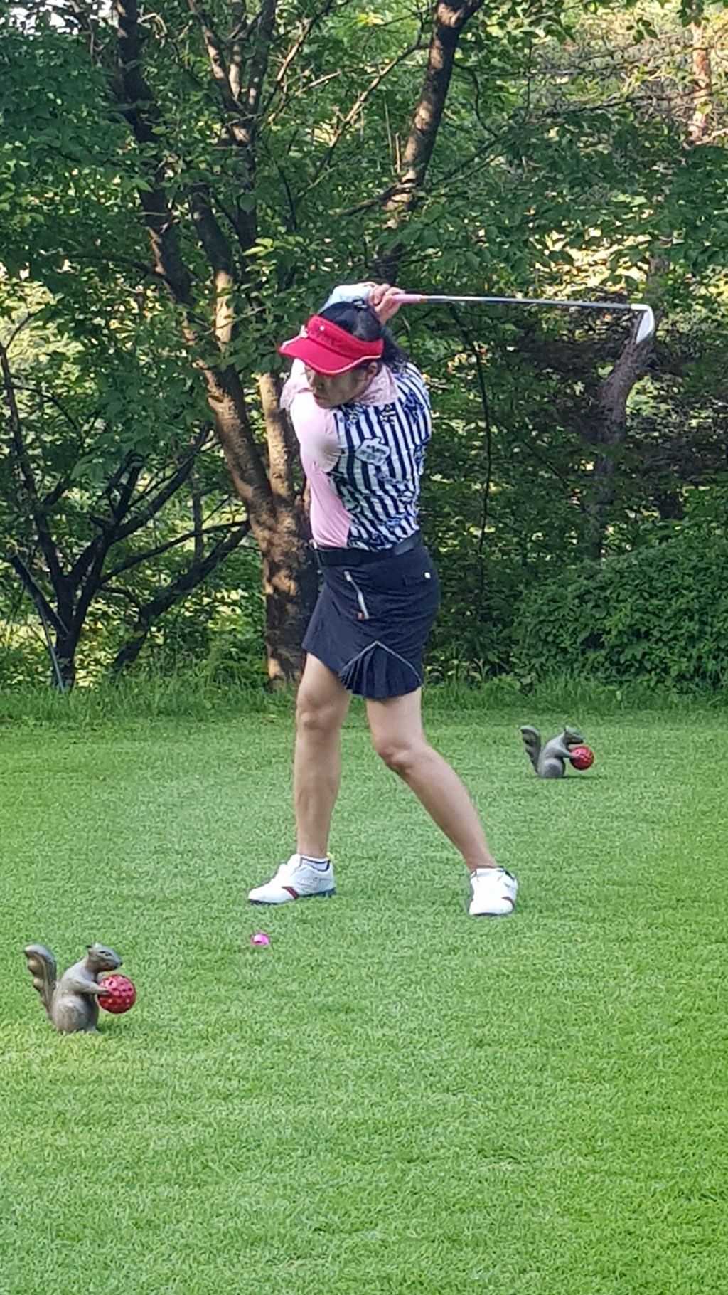 [공식총판] 베르티니 2피스 3피스 골프공 선물 슈퍼소닉 클래식 컬러골프공 동회선물