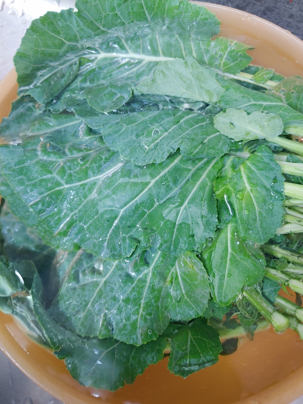 A인증 케일