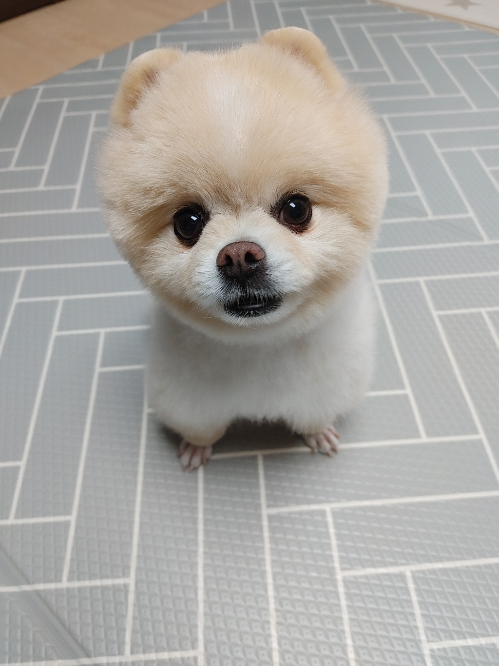 나우 시니어 272