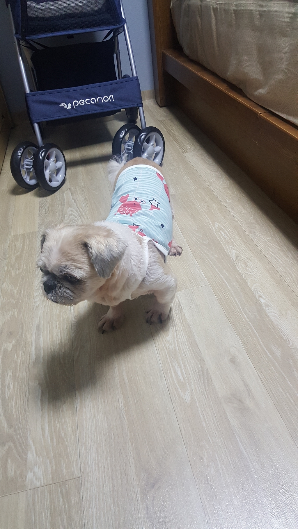 향내음 하와이안 썸머 쿨매쉬 강아지 티셔츠 S-2XL 리뷰후기