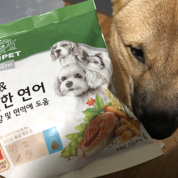 지니펫 더 홀리스틱 홍삼&신선한 연어 강아지사료