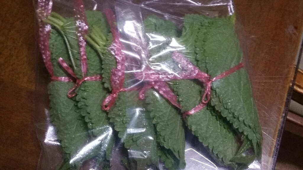 GAP 추부 깻잎 리뷰후기
