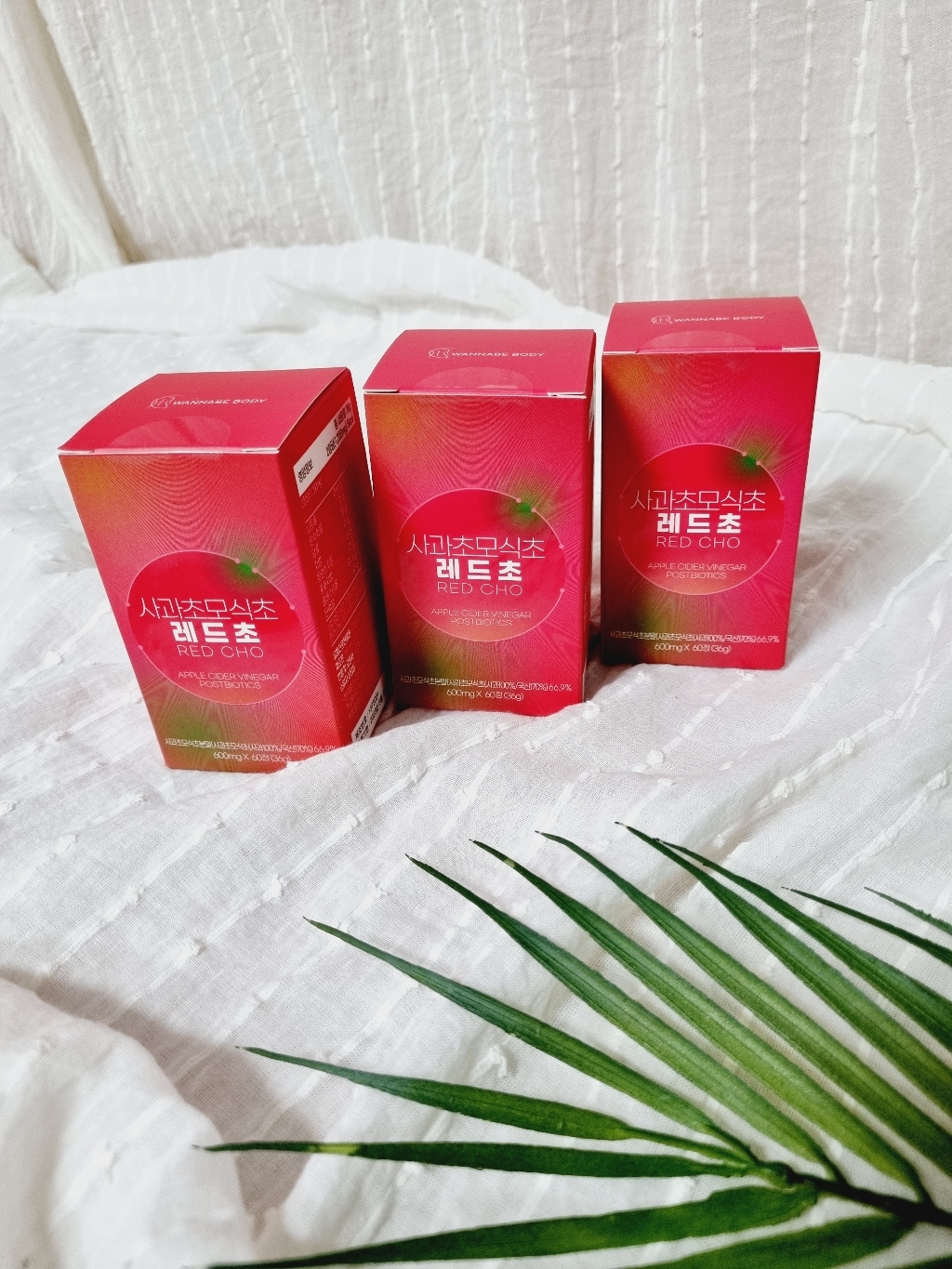 사과초모식초 레드초