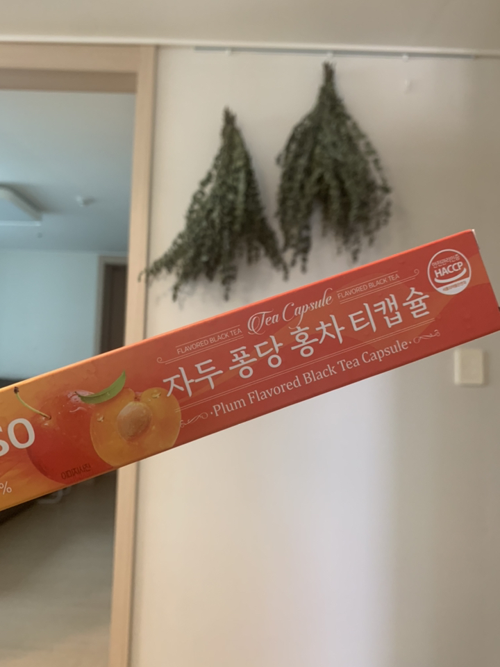 메디프레소 자두 퐁당 홍차 티 캡슐
