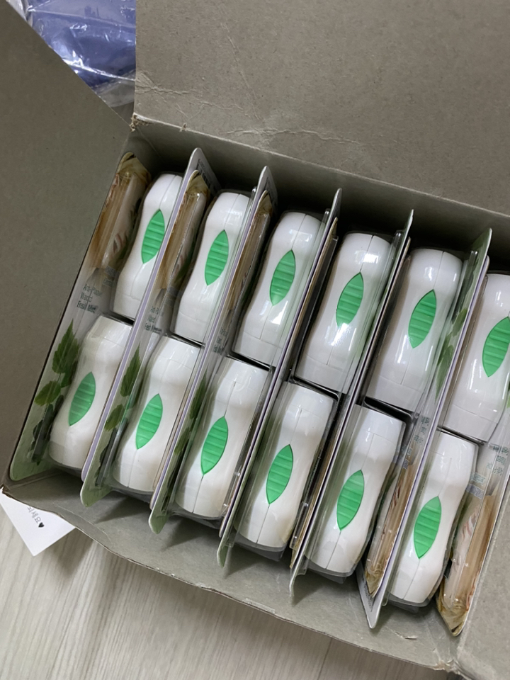 덴티스테 치실