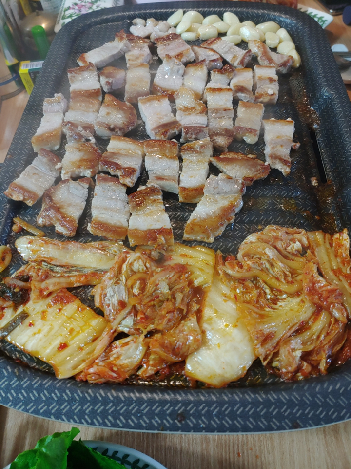 테팔 파워그릴 포스 전기그릴