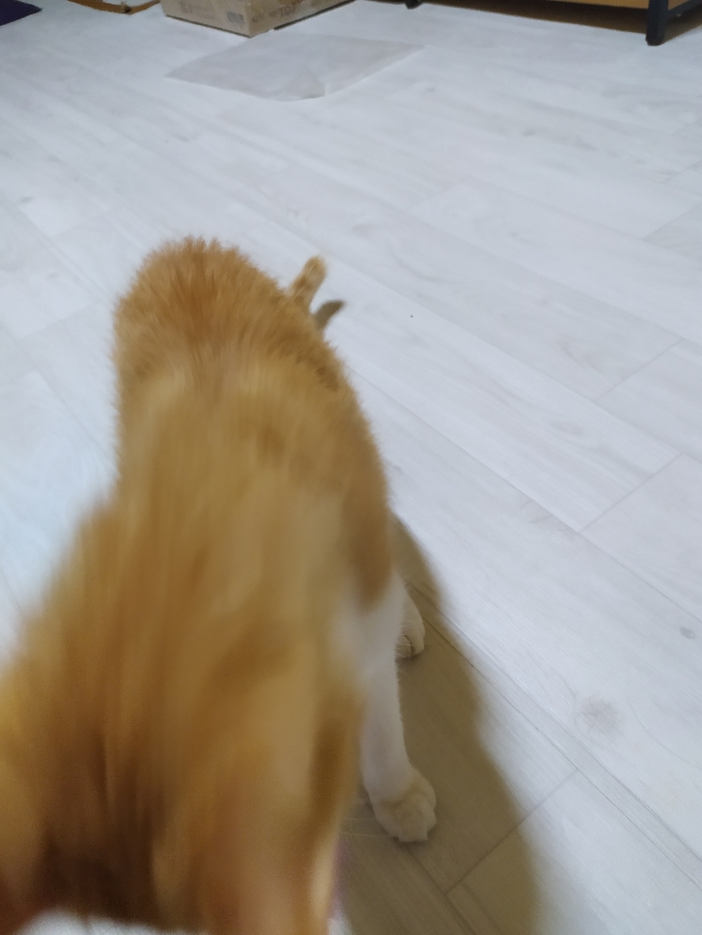 시트나라 바닥시트지 RSF-018 플로어 패널 화이트