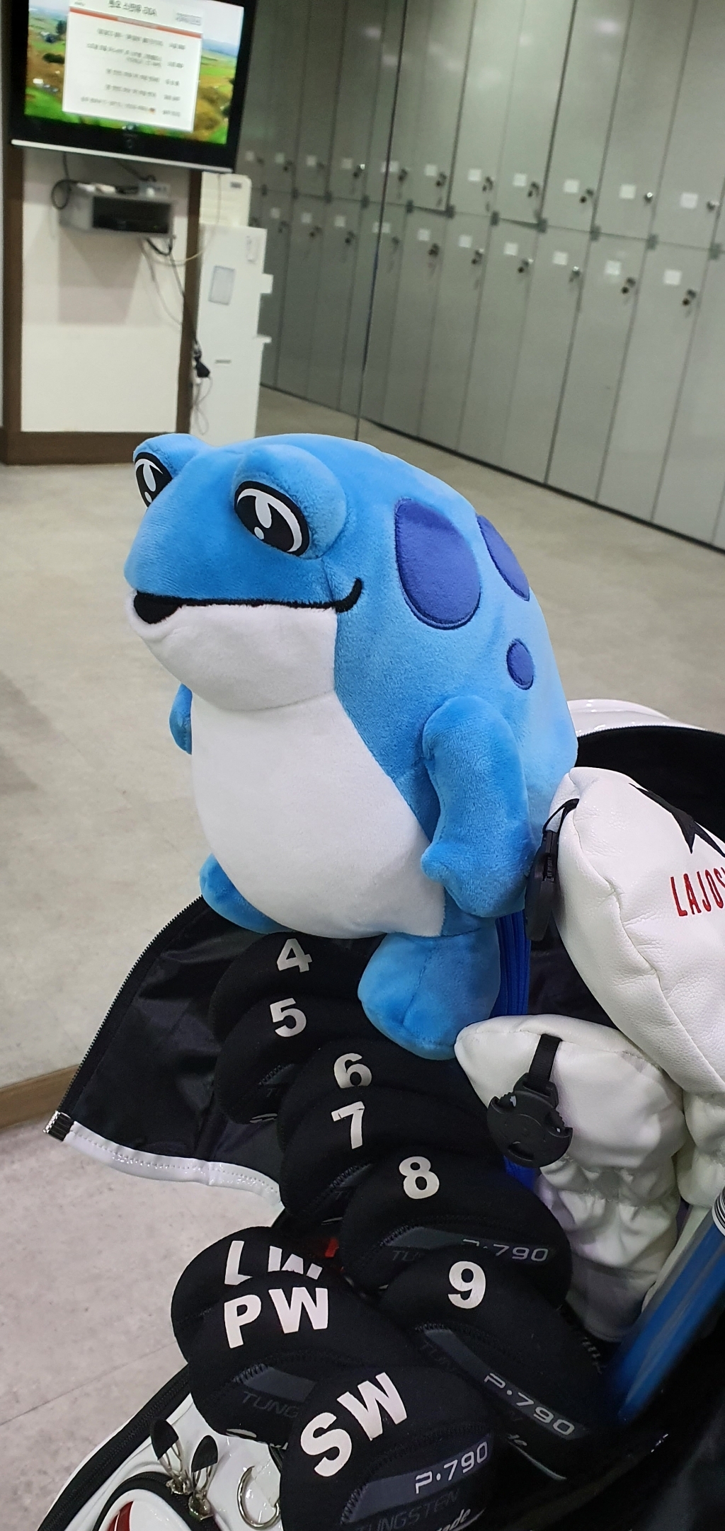 [한정판]진로이즈백 굿즈 핵인싸템 파랑 두꺼비 골프 드라이버 커버  인형 두껍상회