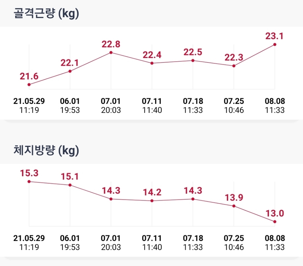 뉴트리디데이 잔티젠 올뉴 다이어트식품 리뷰후기