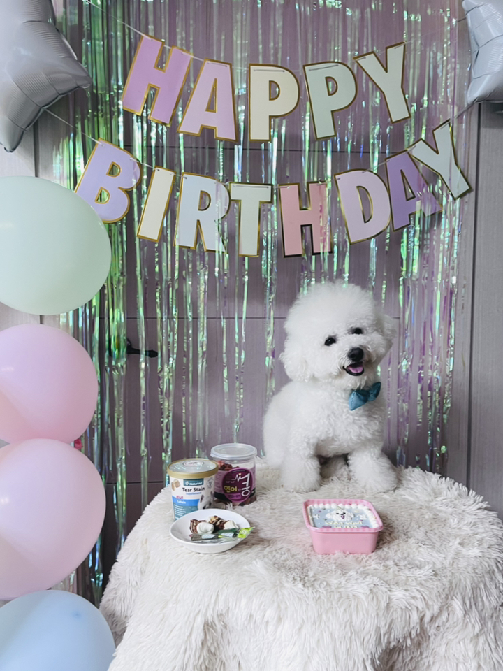 고르고 파스텔 마카롱 생일 홈 파티 풍선 가랜드 용품 스탠드 무료 리뷰후기