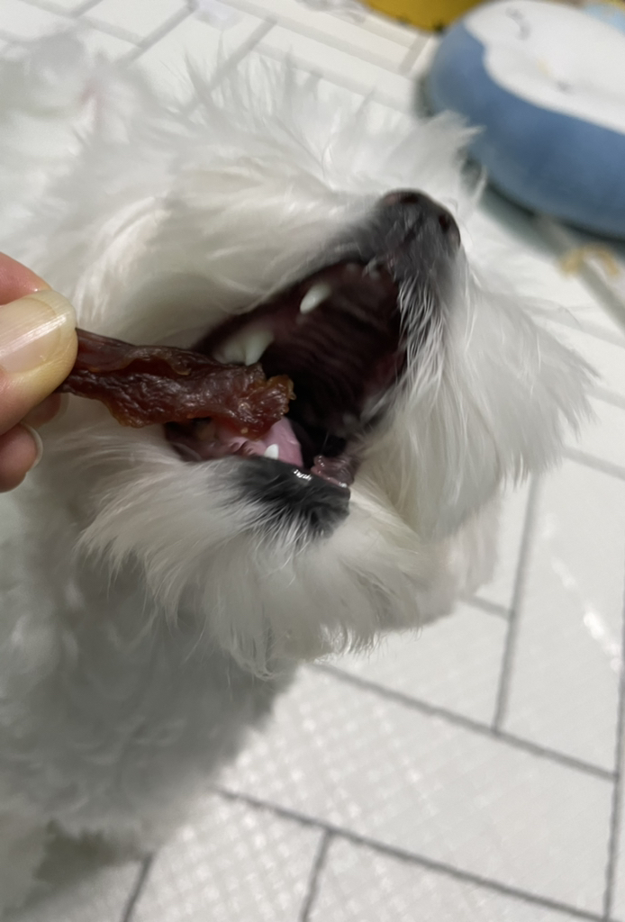 펫츠맘마 강아지 수제간식 슬라이스
