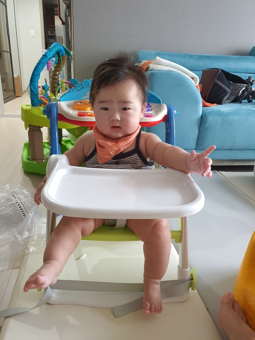아프라모 플리파 펜톤라벨 콤보 부스터  쿠션매트  가방