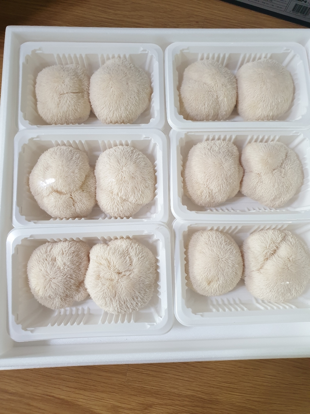 경남 산청 무농약 노루궁뎅이 버섯 / 당뇨에 좋은 구연옥 노루궁뎅이버섯 건강선물추천 치매예방 장질환개선 리뷰후기