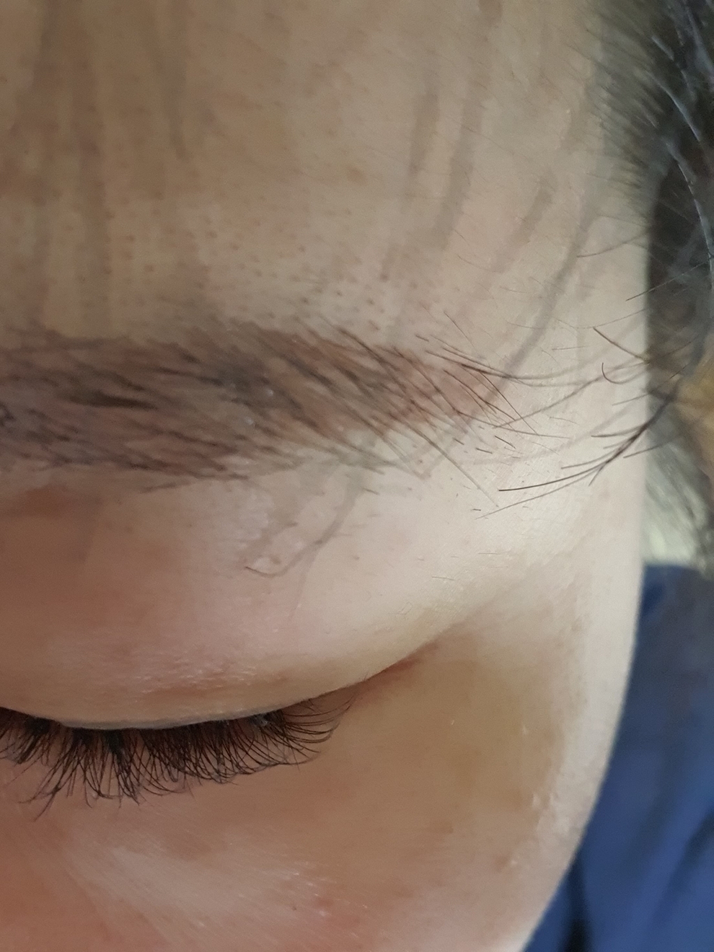 로이엘 내추럴 부분 속눈썹 연장 가닥 셀프속눈썹