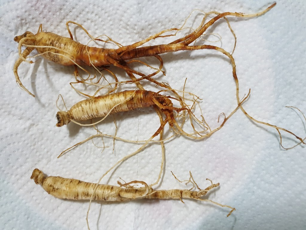 대한파머스산삼 6년근 7뿌리 장뇌삼 산양삼 산양산삼 부모님 할머니 할아버지 칠순 환갑 건강 선물 리뷰후기