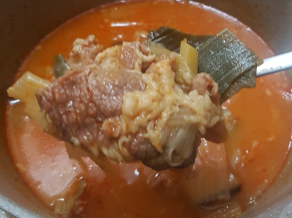 비비고 차돌육개장