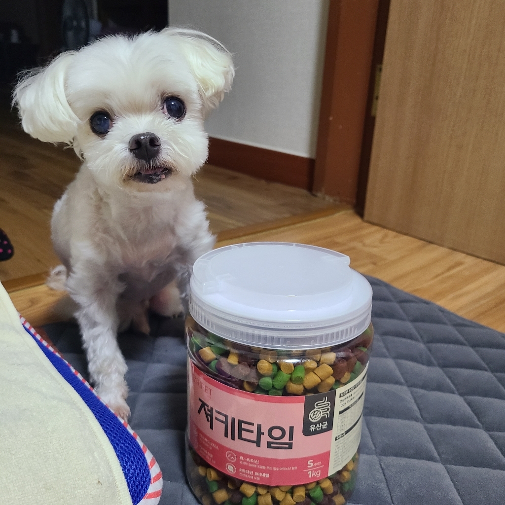 브리펫 져키타임 노즈워크 황태 대용량 칭찬 간식