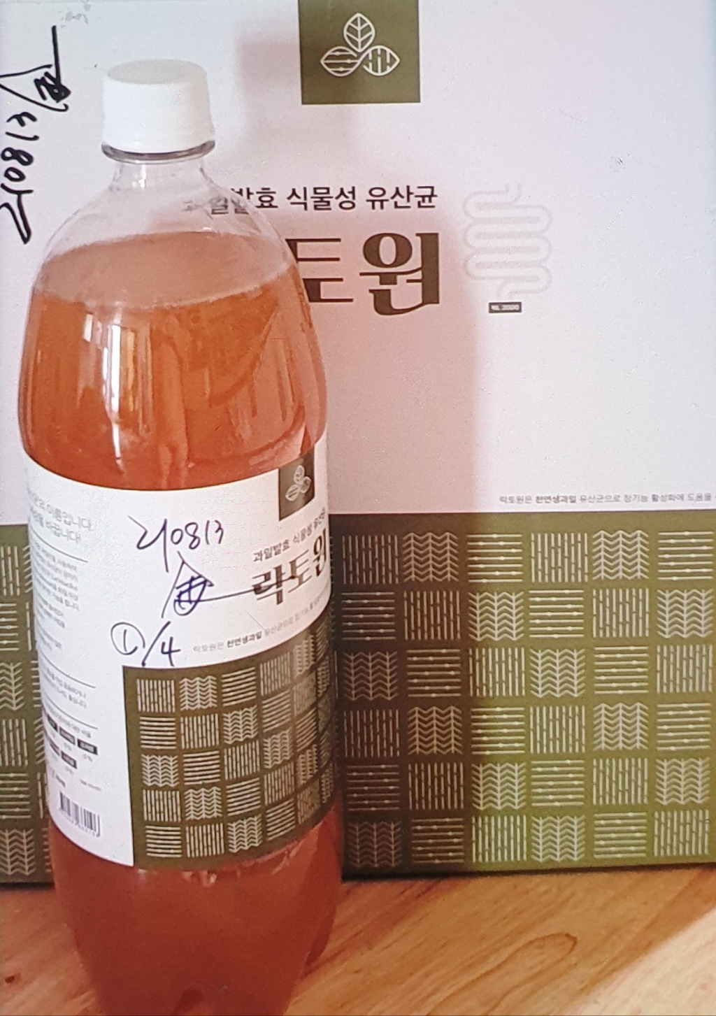 락토원 락토원1 과일발효 식물성 유산균 장건강 퀀텀비즈