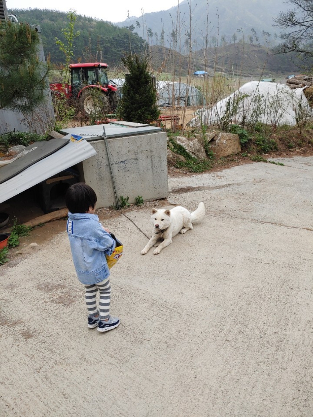 팜스코 성견용 도그닥터 히트 건식사료