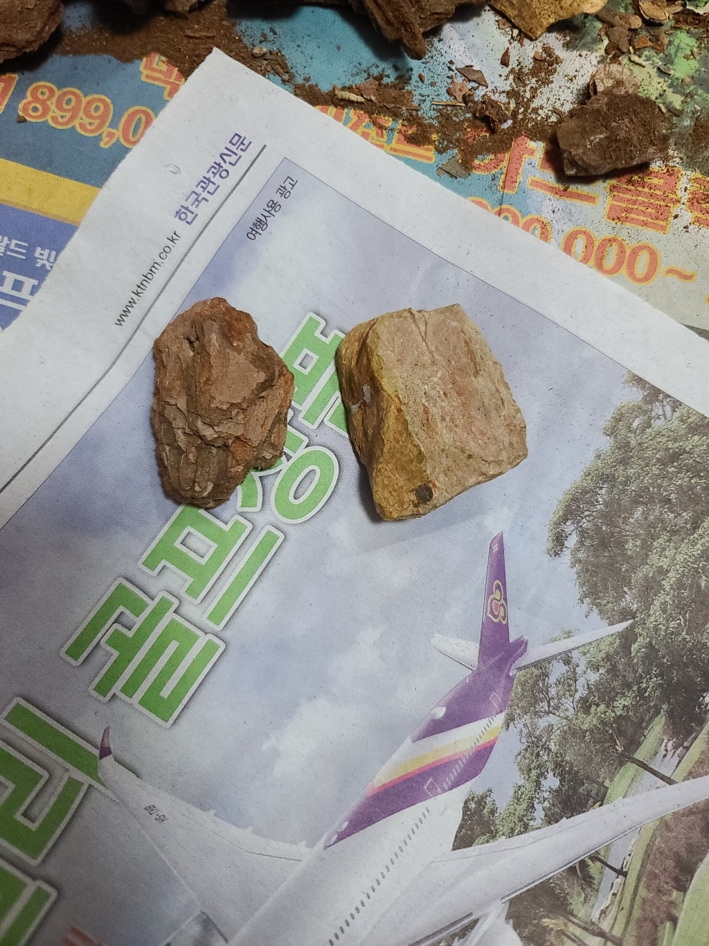 BFA 프리미엄 바크 대립