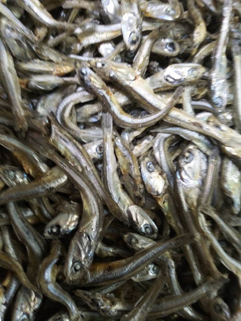 오늘의바다 국산 햇 고바멸치 안주조림용 1