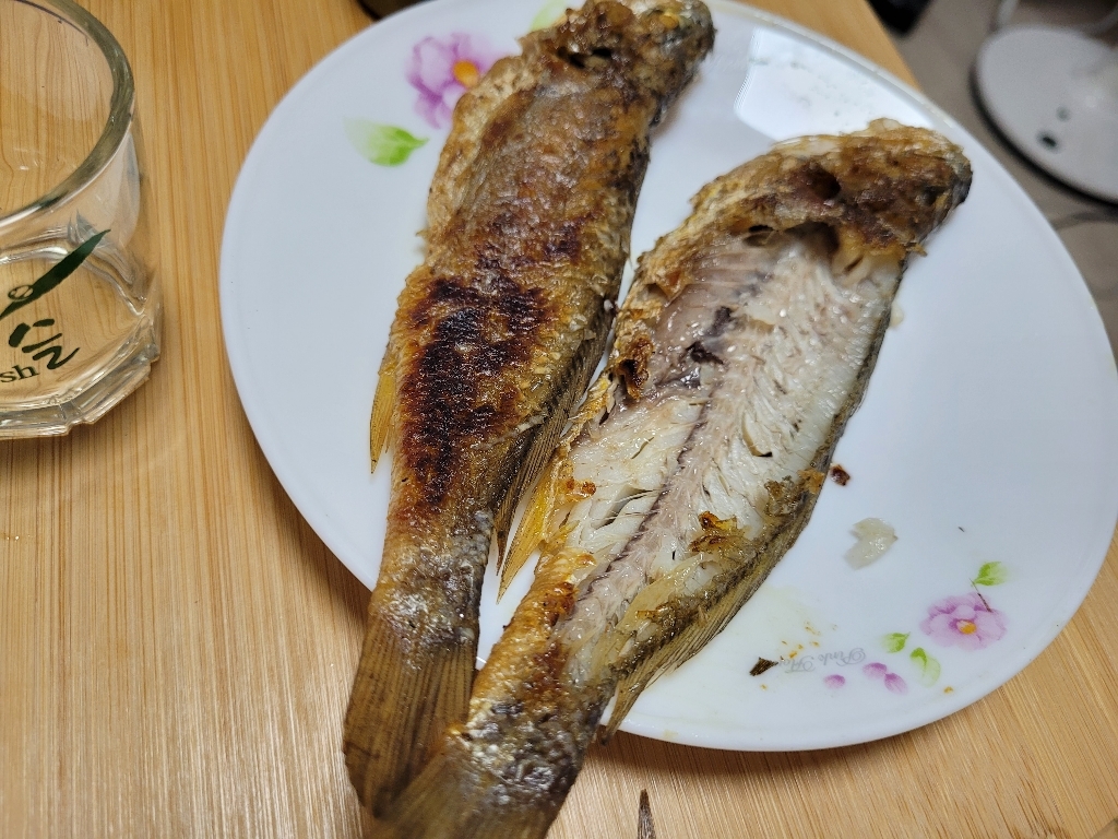 제주도 방어 대방어 특대방어 방어회 자연산