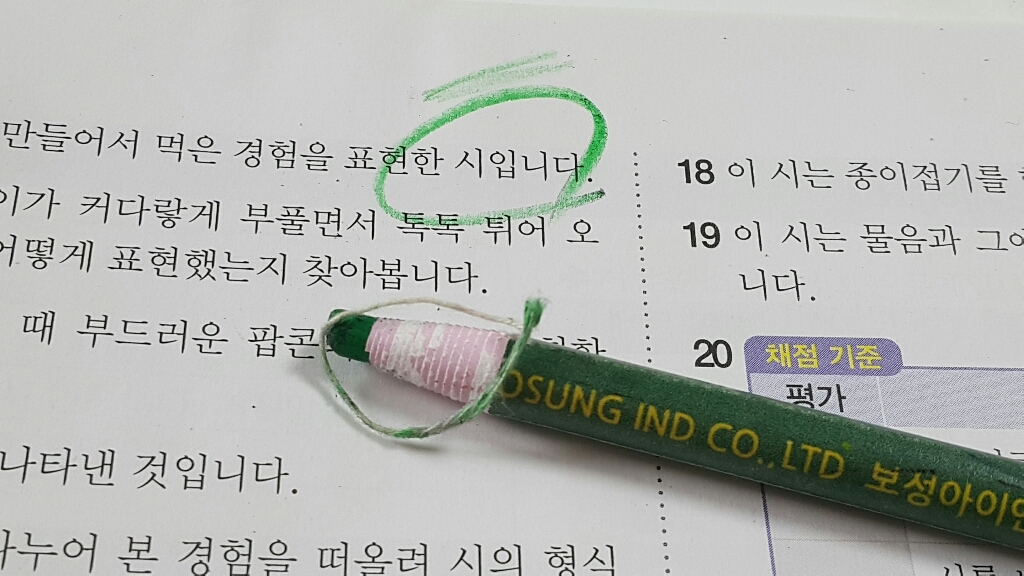 보성 다이아몬드 유리용 색연필 1갑 초록