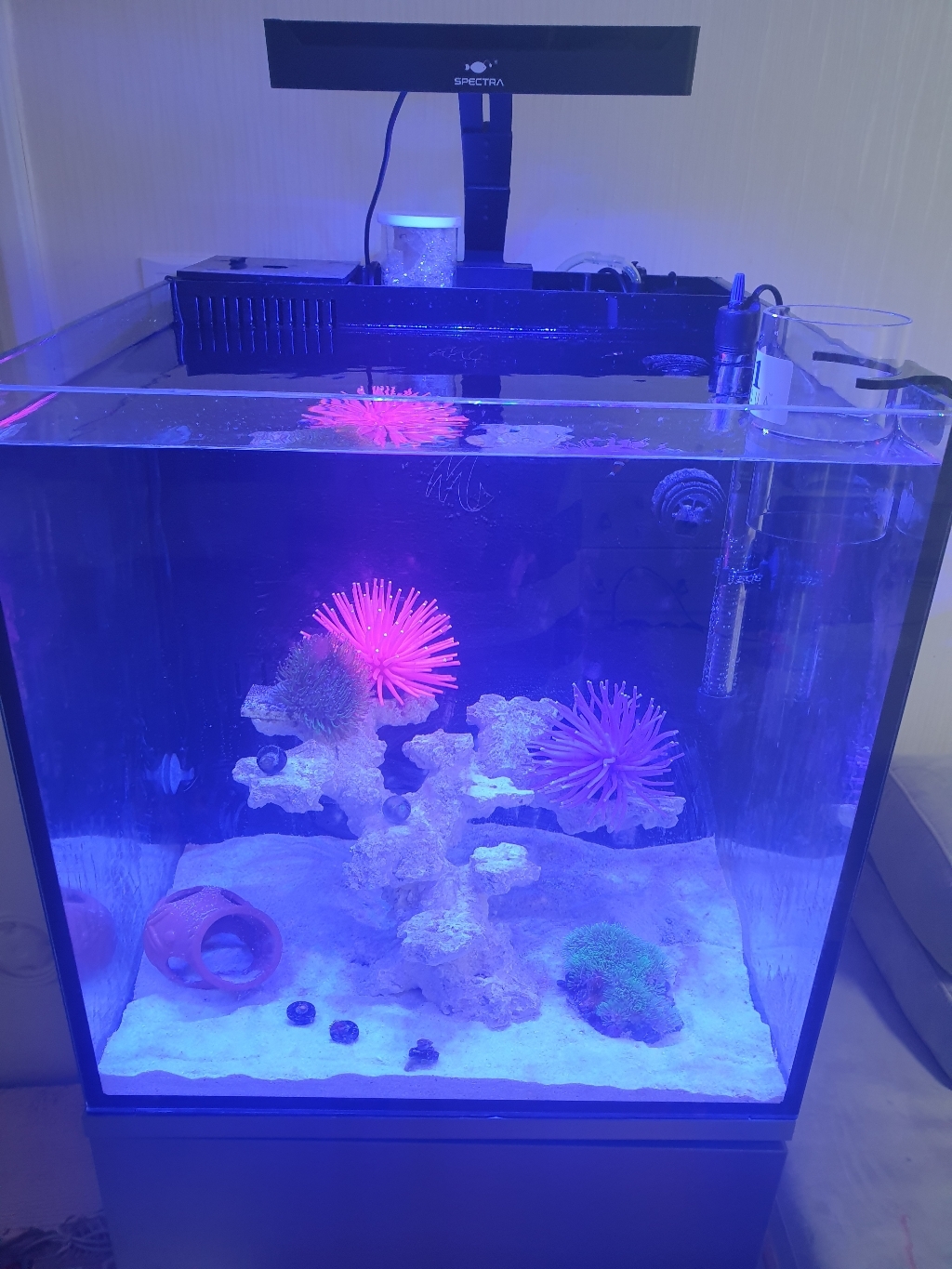 TheAqua 파워히터 200w CA-200B