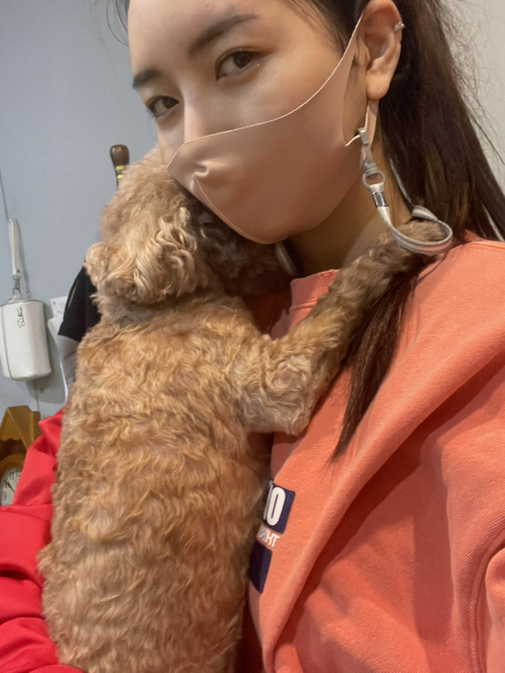 안티바 무봉제 쿨 매쉬 블랙 외 11종 흡 귀 편한 빨아쓰는 다회용 재사용 세탁 UV자외선차단 기능성 운동용 항균 입체 국산 톤업 컬러 연예인 패션 마스크 소형/중형/대형/특대형