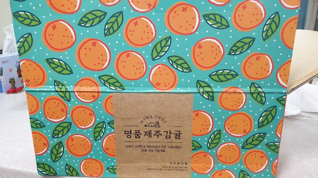 알동네 제주도 노지감귤 로얄과 소과 중과 타이벡귤 고당도귤 제철과일 선물 리뷰후기