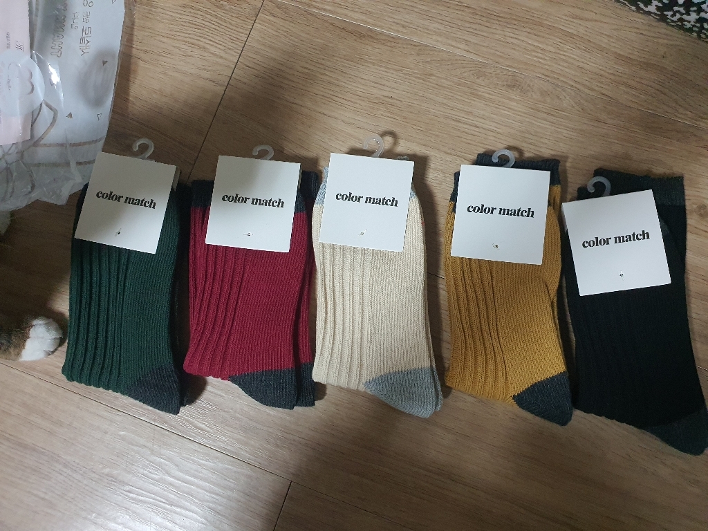 컬러매치 미카 장목 멀티 패션양말 5족