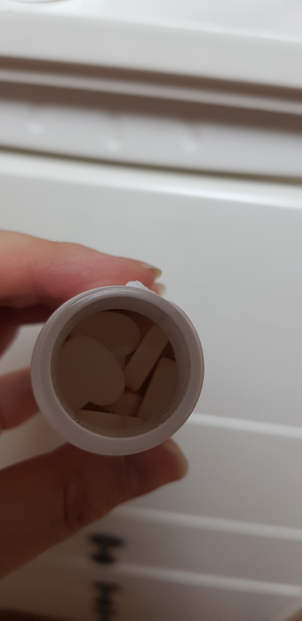토퓸 화장실 방향제 본품 일랑일랑라벤더 지퍼백