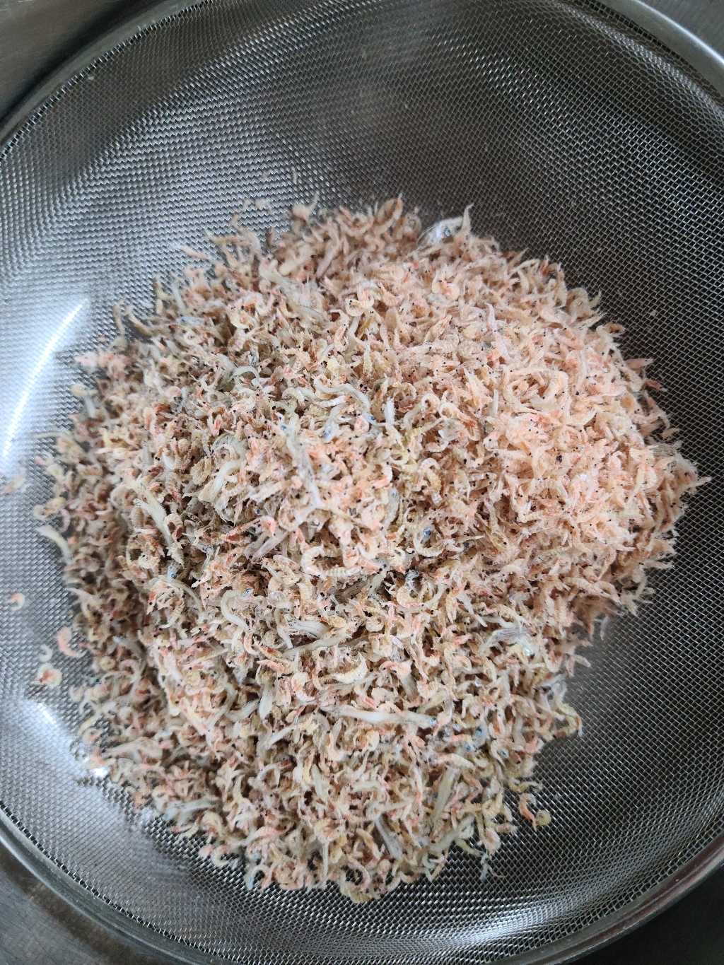 남해통영 밥새우 아기밥새우