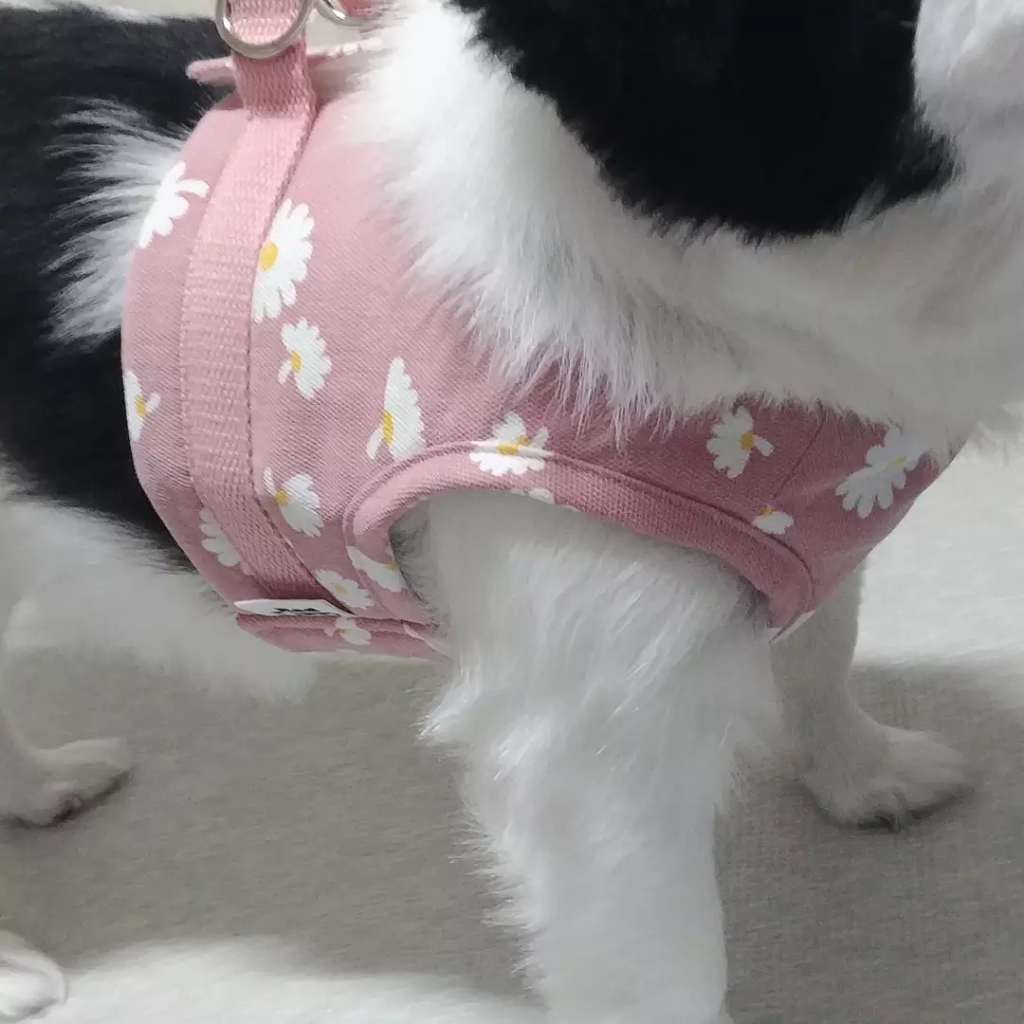 레드퍼피 강아지 물 오름달 하네스