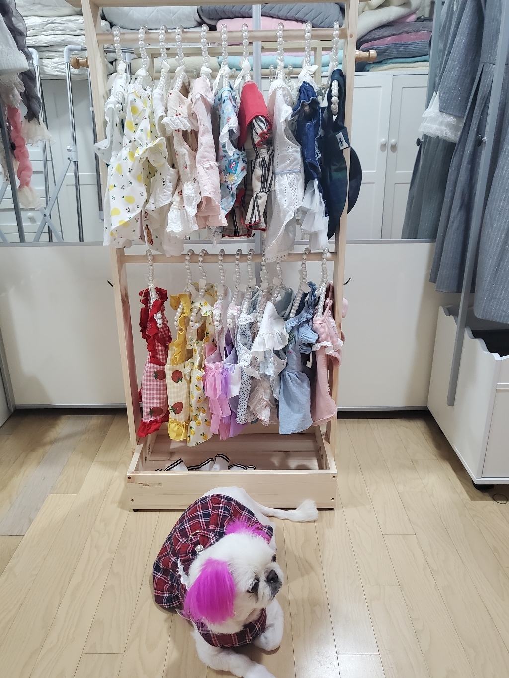 마리펫 댕댕 강아지 행거 대형 2단 원목 옷장 선반 수납장 옷걸이 국내생산 리뷰후기