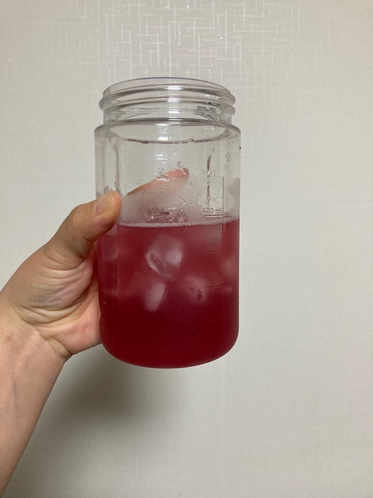 티젠 콤부차 베리